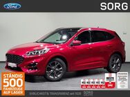 Ford Kuga, 1.5 EcoB ST-Line X, Jahr 2024 - Fulda