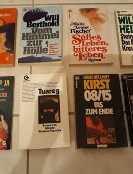 Bücher Goldmann Romane / Thriller ☘️je 1,00€ - Vilshofen (Donau) Zentrum