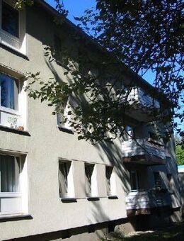 Perfekt für uns: individuelle 3-Zimmer-Wohnung - Bochum