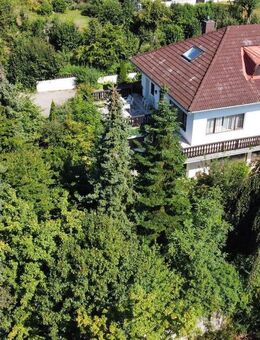 Traumlage: Freistehendes Einfamilienhaus in BA - unterhalb der Altenburg - Bamberg