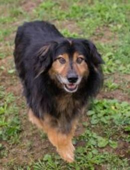 LENNOX - heute bin ich richtig entspannt - Overath