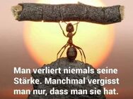 ☯ Numerologische Karma-Analysen / Geburtsnumeroskope ☯ - Ulm