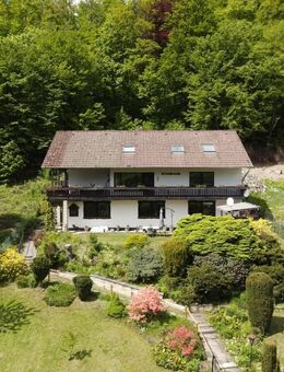 Ein Juwel am Wald! Wer den Wald und die Natur liebt ist hier genau richtig. - Walkenried
