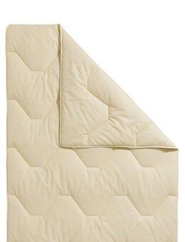 Älgdröm Naturfaserbettdecke Baumwolle 60 °C, Bettdecke 135x200 cm, 155x220 cm, 200x200 cm, Füllung: 100% Baumwolle, Bezug: 100% Baumwolle, Bettdecken, Sommer, Winter, 4 Jahreszeiten, Decke, Made in Germany