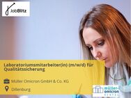 Laboratoriumsmitarbeiter(in) (m/w/d) für Qualitätssicherung - Dillenburg