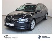 Skoda Superb, 1.5 TSI Ambition, Jahr 2024 - Amberg