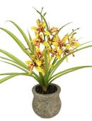 Kunstblume Kunstblume Schmetterling Orchidee mit Keramiktopf, I.GE.A., Höhe 38 cm, Mit Blätter Luftwurzeln Blume Kunstorchidee Phalaenopsis Kunstpflanze in 00000