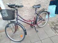 Damenfahrrad - Halle (Saale)