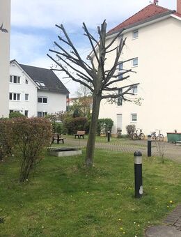 Kapitalanlage - Neubau ETW mit EBK und Terrasse im grünen Seehausen - nahe BMW Werk - Leipzig