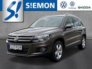 VW Tiguan, 2.0 TDI 2 0BMTSPORT4M103 TDIM6, Jahr 2012 - Lengerich (Nordrhein-Westfalen)