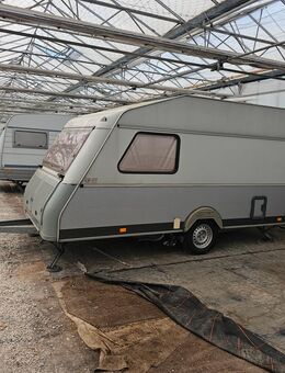 Wohnwagen Kip - Willich
