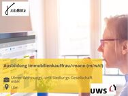 Ausbildung Immobilienkauffrau/-mann (m/w/d) - Ulm