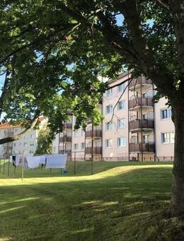 Daheim! 2 Zimmerwohnung in Colditz. - Colditz