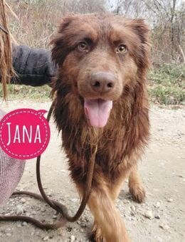 Yana möchte nur geliebt werden - Flörsheim-Dalsheim