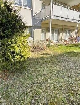 Moderne 4-Zimmer-Wohnung mit Terrasse im Stadtzentrum von Cottbus - Cottbus