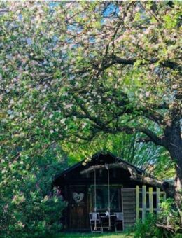 Stilvoll saniertes Einfamilienhaus in gesuchter Lage von Schwarzenbek/Krs. Herzogtum Lauenburg - Schwarzenbek