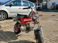 Honda Dax ST70 mit 125er Motor TOP Zustand - Gummersbach
