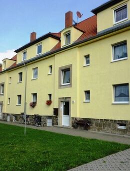 gemütliche Wohnung mit Dusche sucht neue Mieter - Pirna