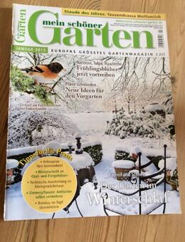 mein schöner Garten   Januar  2013 - Gladbeck