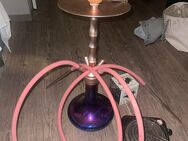 Smokezilla shisha Roségold - Stuttgart