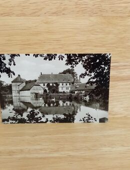 Ansichtskarte-AK-615-Schloß Tatenhausen, Halle i. Westfalen. - Nörvenich