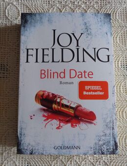 Buch - Blind Date, Joy Fielding, Roman, Goldmann, 7,50 Euro - Hamburg