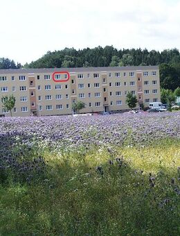 Wohnen am Kurpark 3-Raumwohnung zu vermieten - Wolkenstein