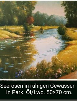 Seerosen in einem ruhigen Gewässer. - Nürnberg