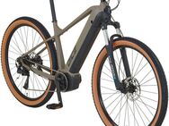 Prophete E-Bike Mountainbike Dice 3.0, 10 Gang Shimano Cues Schaltwerk, Kettenschaltung, Mittelmotor, 540 Wh