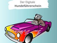 Hundewissen Sachkunde - Der Digitale Hundeführerschein Mitgliederbereich und Video-Kurse - Hildesheim