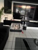 Chihuahua Hündin reinrassig in 44388