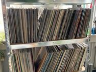 ca. 3000 Schallplatten Vinyl suchen ein neues Zuhause - Volkertshausen