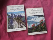 Alpenblumen Farbige Wunder. Paula Kohlhaupt - Belser Verlag 1963 - Mariaposching