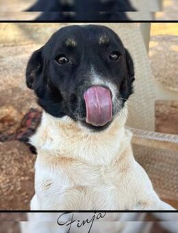 In Düsseldorf wartet die süße FINJA! - Meinerzhagen