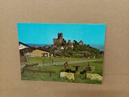 Postkarte C-416-Burg Greifenstein. - Nörvenich