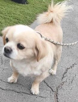 süße kleine FRENI - Mamming