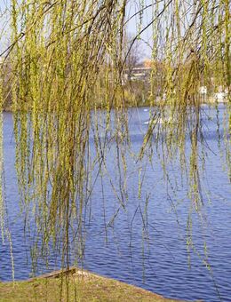 Schöne 2-Zimmer-Wohnung nahe Schäfersee - nicht vermietet - Berlin
