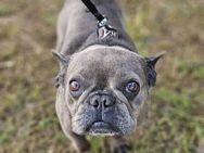 Trudi sucht ihre Familie - Berlin