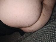 03.01. Suche chubbyhengst..... - Pohlheim