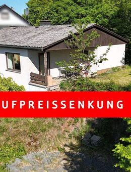 Am sonnigen Südhang von Viermünden! - Frankenberg (Eder)
