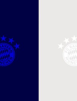 Kopierschutz Papier | Sicherheitspapier mit hell+UV Wasserzeichen in einem, weltweit einzigartig - Kaiserslautern