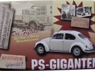 PS Giganten - Käfer - Blechpostkarte mit Umschlag 10 x 14 cm - Doberschütz