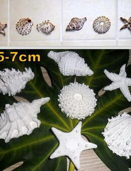 *Set Keramik*7 Stück Muschelmix*Maritime-Deko*Neu*Handmade* - Neunkirchen (Nordrhein-Westfalen)