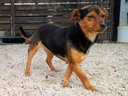 Jasmin1 sucht Vertrauensperson 8/22 GR - Ruppertsecken