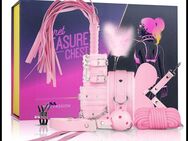 Secret Pleasure Chest – Pink Pleasure - BDSM - Fetisch - Set - Breckerfeld (Hansestadt) Zentrum