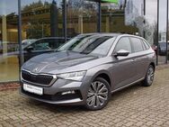 Skoda Scala, 1.0 TSI Tour, Jahr 2023 - Verden (Aller)