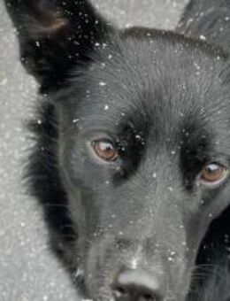 Mave - sensibel und liebevoll - München