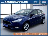 Ford Focus, 1.0 EB Business WinterPak, Jahr 2016 - Stollberg (Erzgebirge)