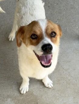 PRACLI - LEBTE ABGESCHOTTET - Nörten-Hardenberg