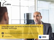 Sales Manager (m/w/d) im Bereich Mobility & Battery Solutions - Hardheim
